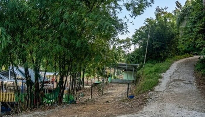 Isu Bandar Narkoba di Kp Tempel Perdagangan, Warga Desak APH Turun Tangan